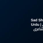 230+ Best Sad Shayari In Urdu | اردو میں اداس شاعری