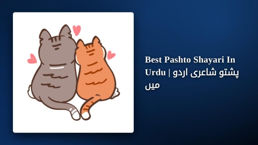 250+ Best Pashto Shayari In Urdu | پشتو شاعری اردو میں